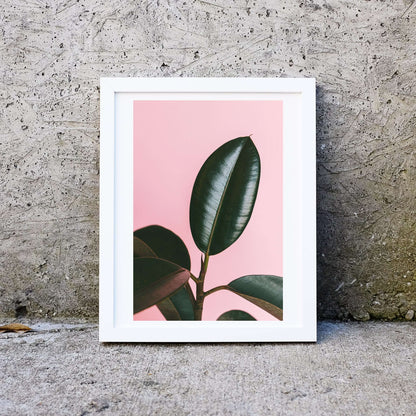 Pink leaves minimalist photography print Photography Prints