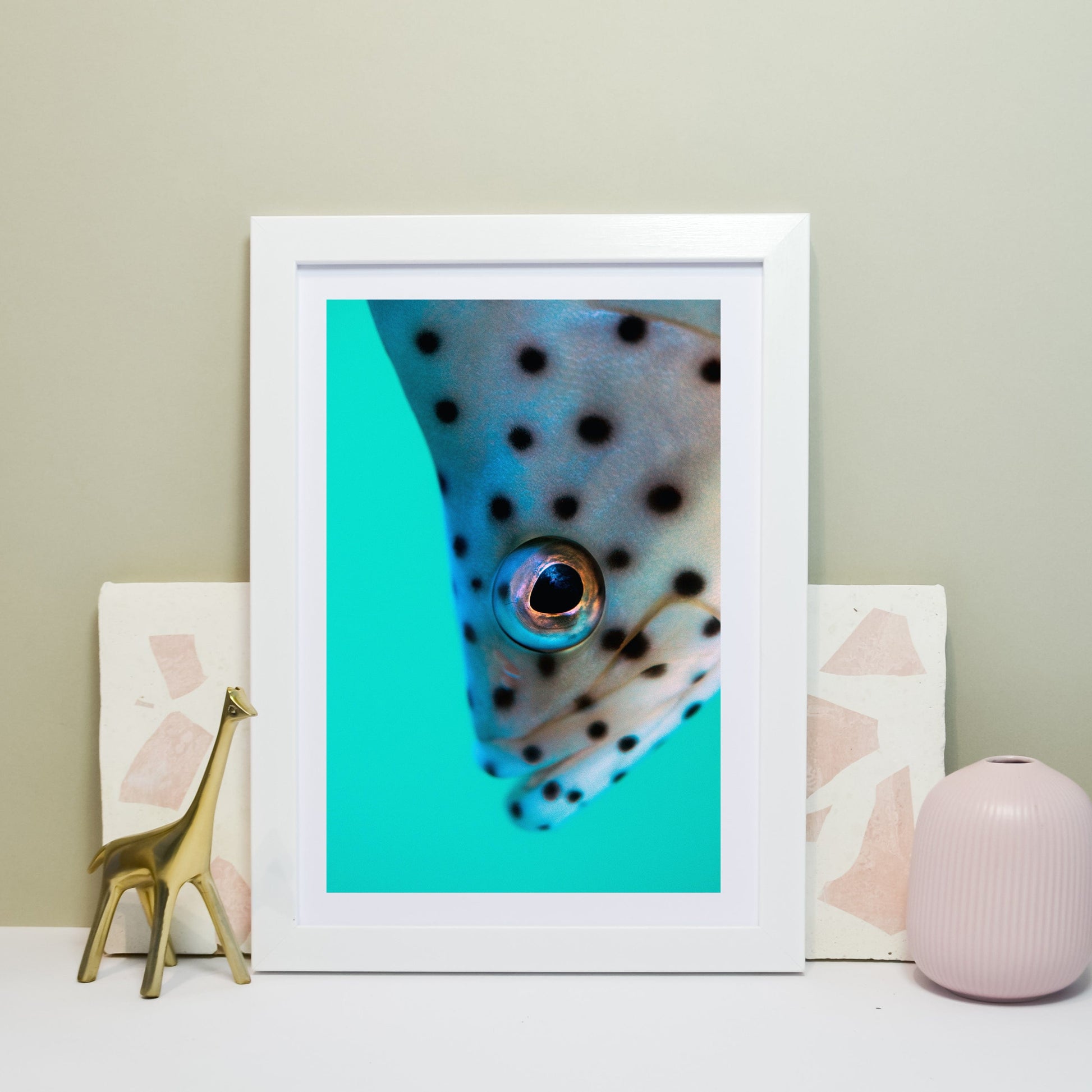 Spotted fish on blue photography print Photography Prints