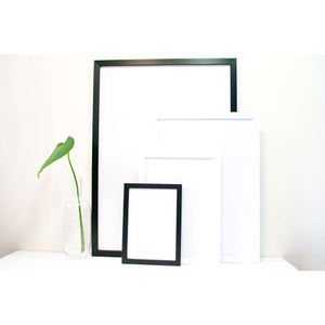 framed botanical prints black and white frames