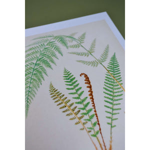 green fern leaf print detail, botanical fern print